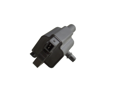 DQZ9207.JPG